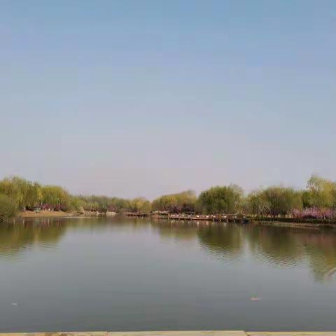 黄河路小学 三年级二班刘思宇  清明节 忆往昔 守今朝 望前路