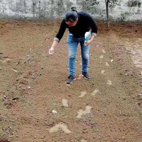 种下希望，等待收获