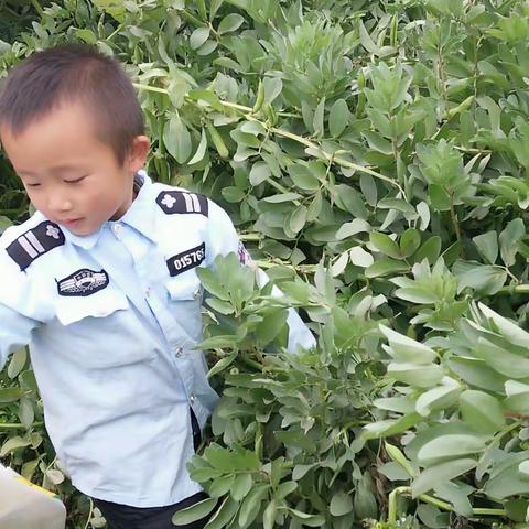 聪明的小一休