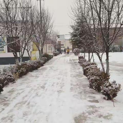 2019年的第一场雪