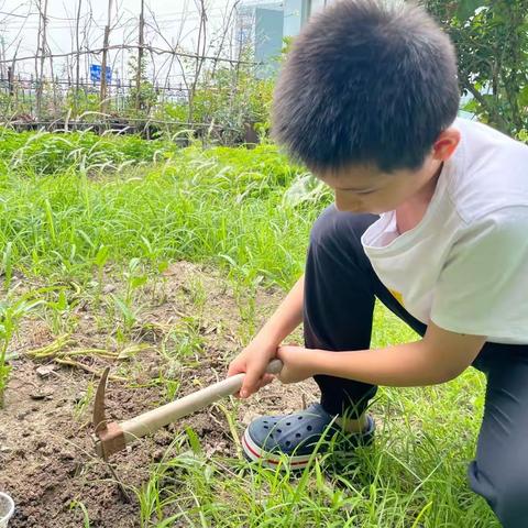 种植记——上官郅律