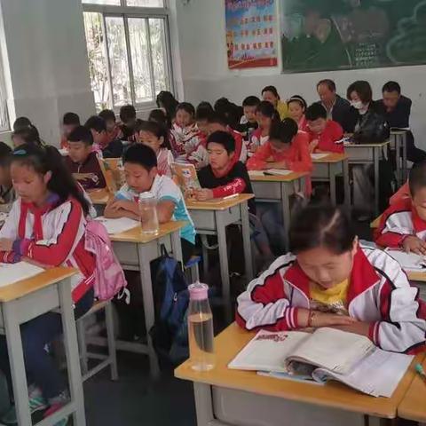 秋之语，研之路——三十三小学五年级语文教研活动