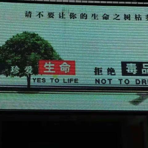 珍爱生命 远离毒品――秤架民族学校开展“6.26”国际禁毒日系列宣传活动