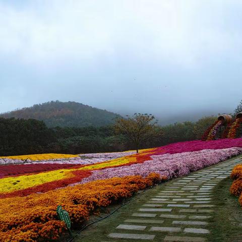 雨中的禾泉小镇