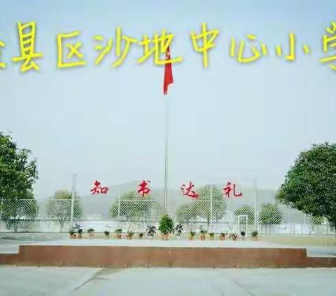 记沙地中心小学第四次全镇教研活动