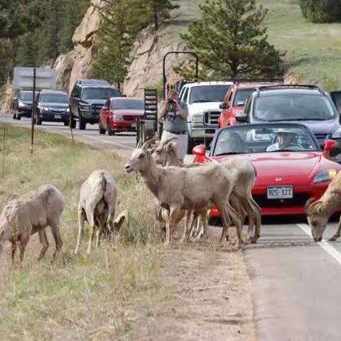 印象丹佛之——落基山与威尔