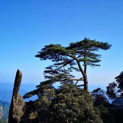 爱上旅行，爱在三清！