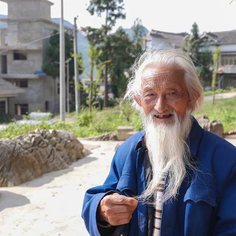 千年银杏—百岁老人