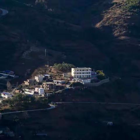 情系飞蛾村