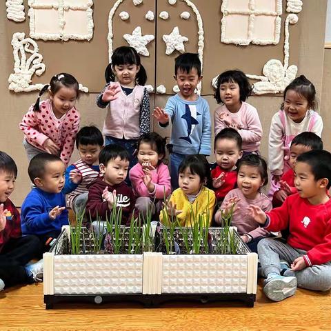 二十四节气—立冬