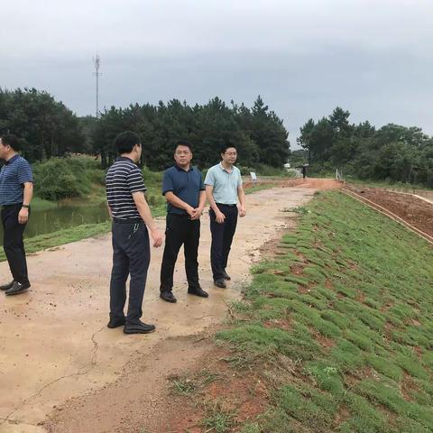 区政协副主席艾明华到瑶圩乡、红光垦殖场检查指导防汛准备工作