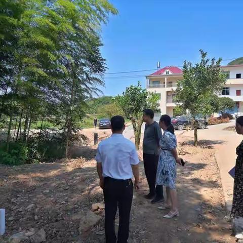 区政协副主席候选人乐华到黎圩镇调研村级集体经济建设