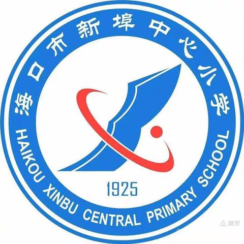 海口市新埠中心小学党支部学习—《党的十九届六中全会报告》