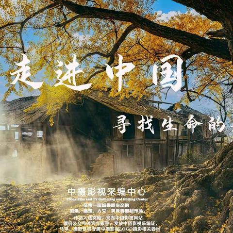 《中摄影视》全国分站周刊 第二期中集