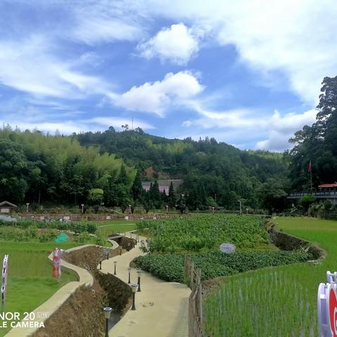 🌹霞浦行（六）游览《靴岭尾村》《拓荣鸳鸯草场》