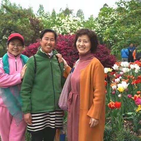 2019年4月15日美女游览瘦西湖