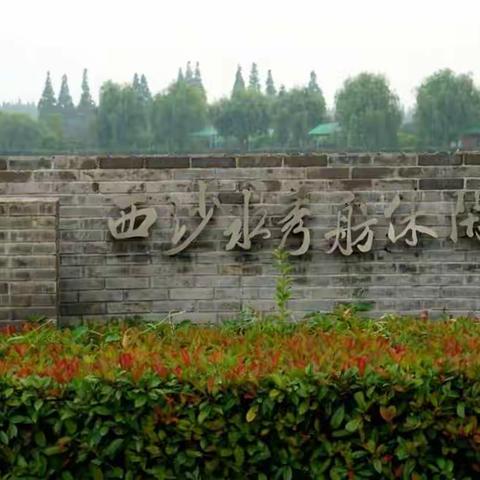 上海崇明岛之行(一)