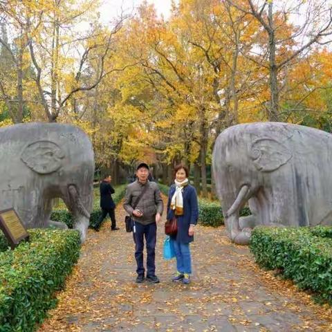 2018年11月16日南京明故宫，小九寨沟秋景