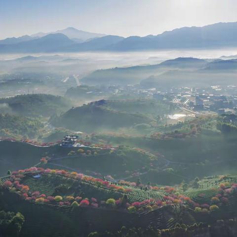 春天里，2021年春天带着花和曲在空中响彻着春的乐曲。