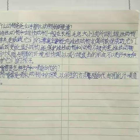 居家学习作业展