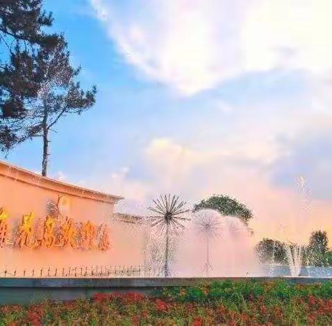 蒲公英邀您共游海花岛