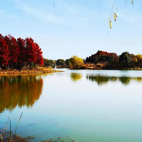 深秋，昆山天福湿地公园观景