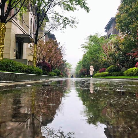 美若雨林湖泊的山居——雨中倒影篇