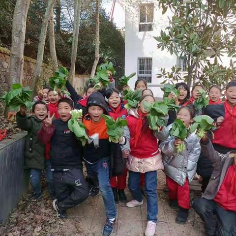 传承中华民族勤劳美德——巾石中心小学四（1）班蔬菜基地劳动体验活动篇
