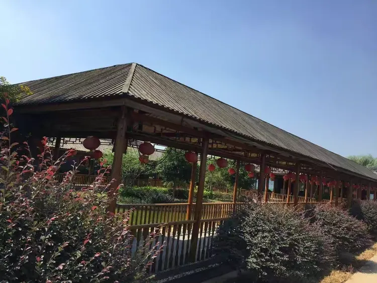 湘潭龙凤庄园,环境优美,采摘无花果和葡萄,乐趣多多