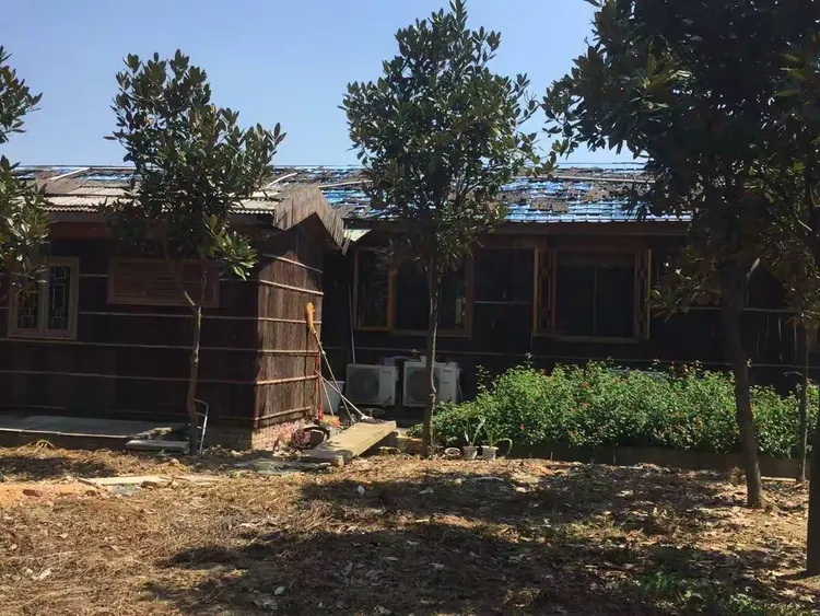 湘潭龙凤庄园,环境优美,采摘无花果和葡萄,乐趣多多