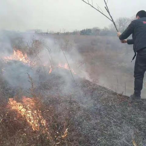 跨网格“多管闲事”