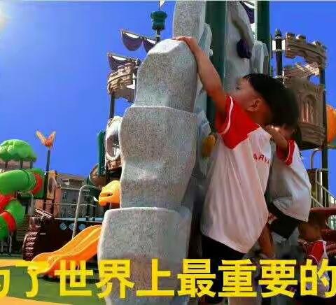 小哈佛幼儿园，我心中最美的风景