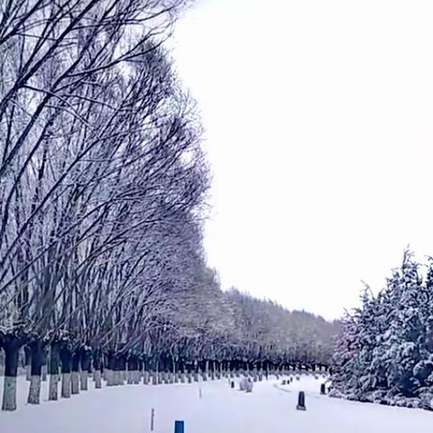 这一场春雪