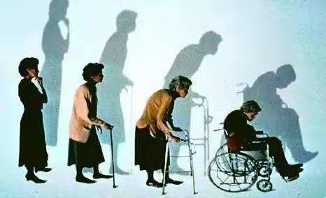 老年人如何预防骨质疏松和骨折