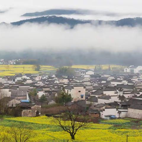 烟雨朦胧、雾锁卢村20230320
