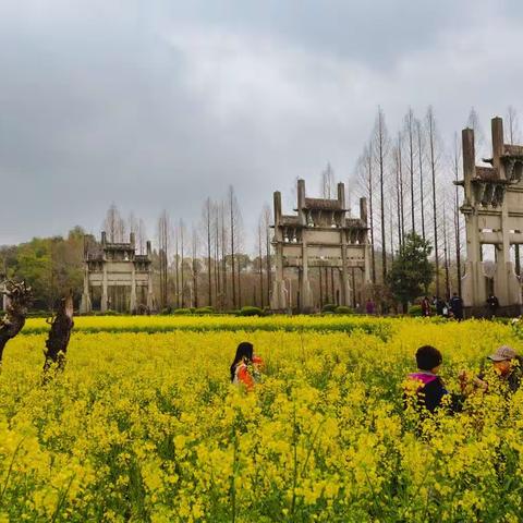 黟县棠越牌楼鲍家花园20230319