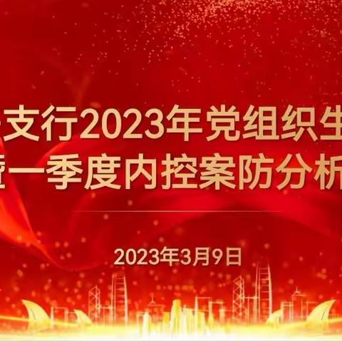 照镜子正衣冠，强化争先意识，提高服务效能——经开支行召开党组织生活会暨一季度内控案防分析会