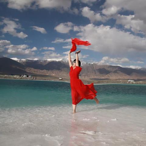 放飞（副本）（副本）（副本）