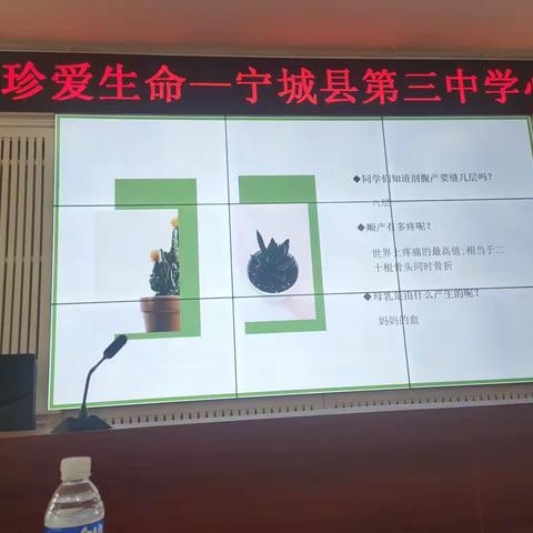 呵护生命，真爱生命