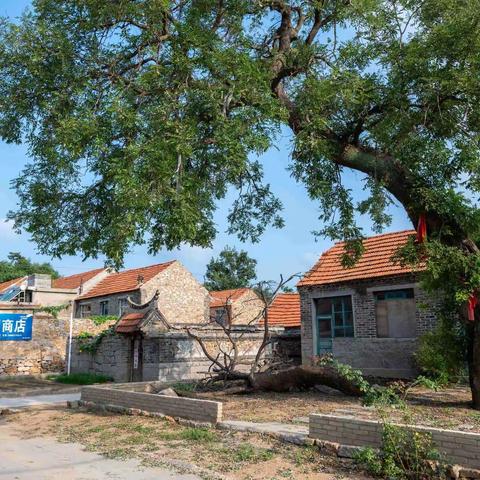 【荣成·乡村记忆】-崖西镇山河吕家村