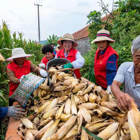 荣成东山街道南庄村，这里风景别样红