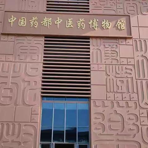 【共青城市金湖乡中心小学】魅力研学——“双减”在路上，研学促成长！