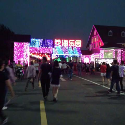 花海乐园灯光节