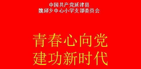 “青春心向党，建功新时代”——魏邱乡中心小学党支部5月份主题党日活动