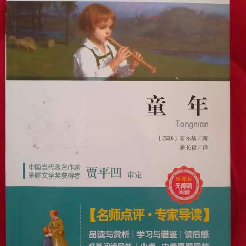 暑假阅读之旅📖