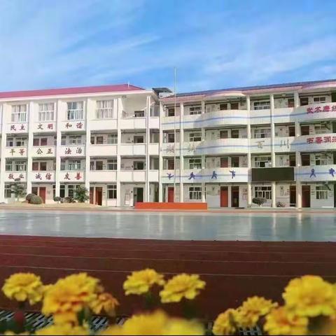 知是行之始，行是知之成——体育教研员之湖川小学调研记