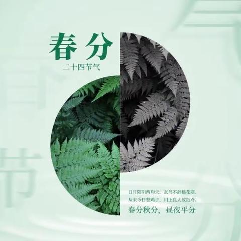 芳菲三月聚爱尔 逐梦学习正当时