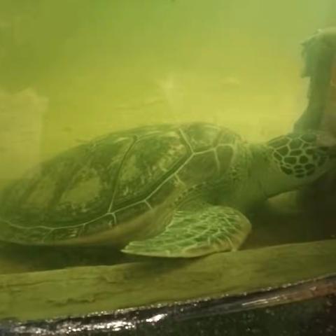 快乐的暑假生活