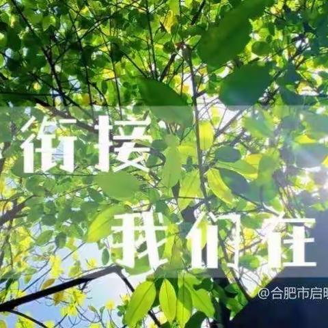 【美好教育在发展】花开“幼”时，衔接有方——百良镇中心幼儿园中班幼小衔接