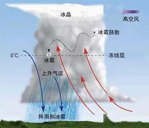 主要降雨类型